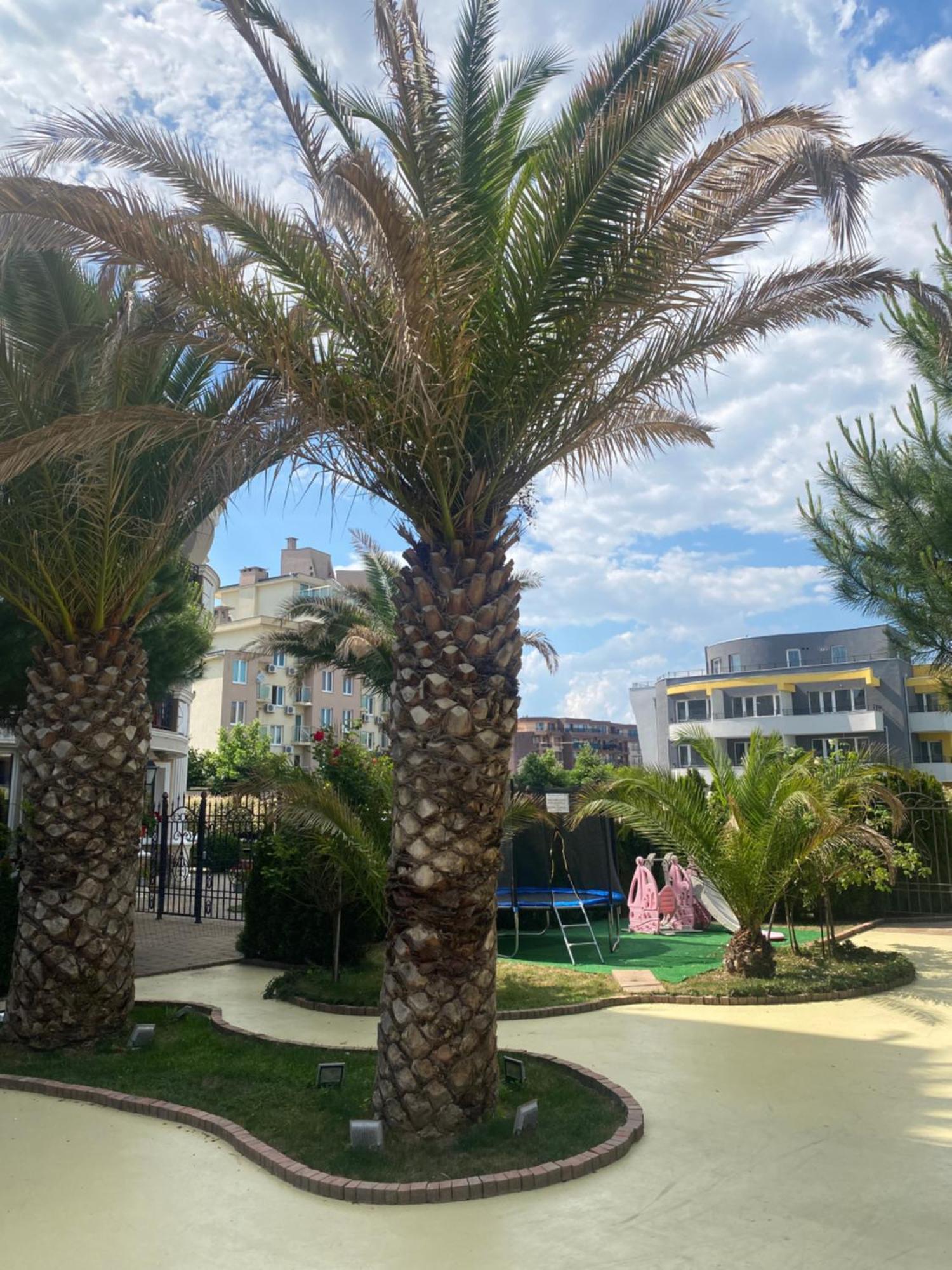 Messembria A309 Studio Sunny Beach Buitenkant foto